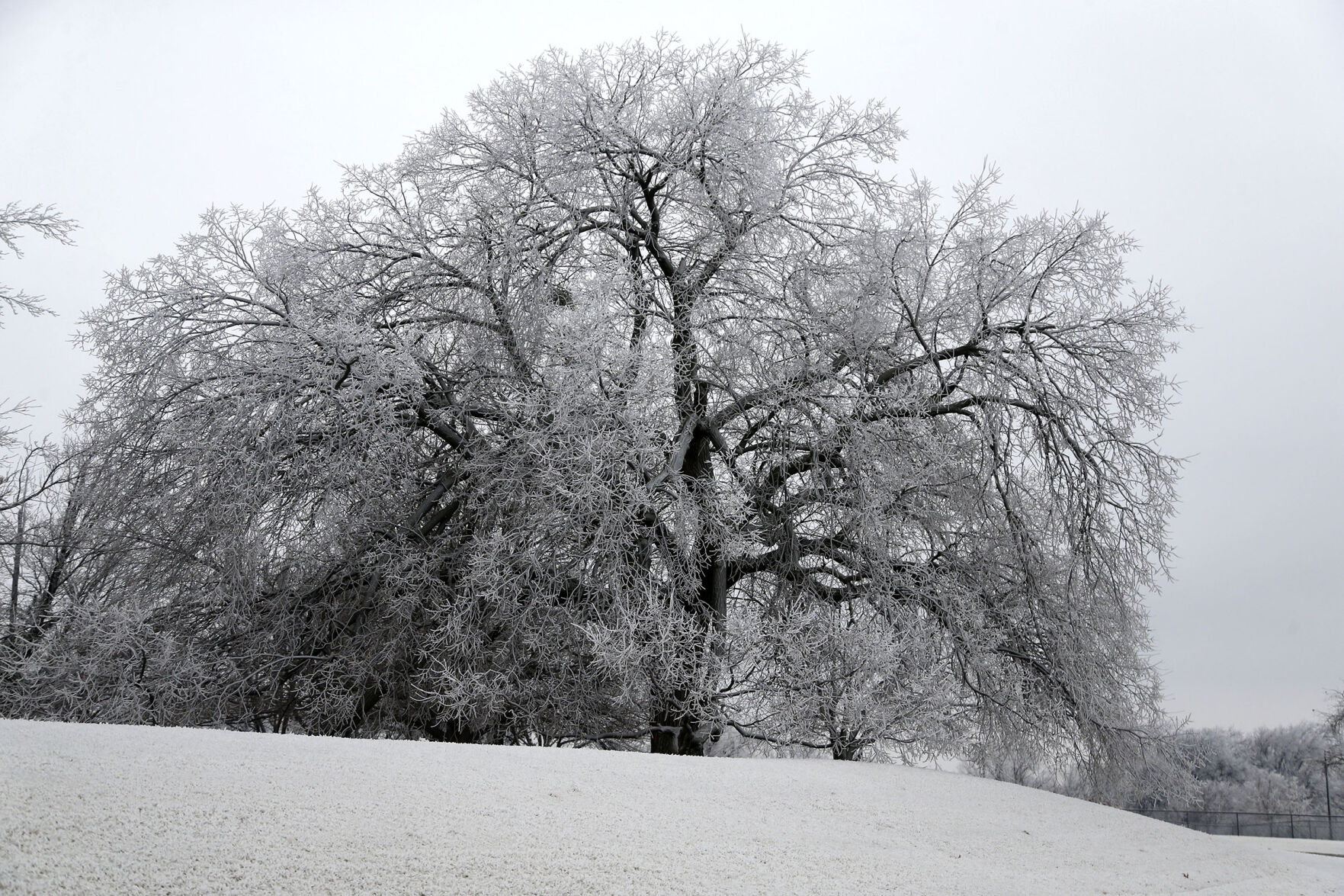 Frost Features